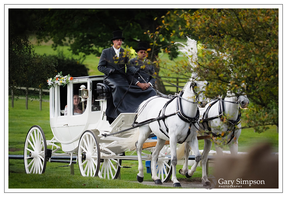 a ride around the woods at camp katur for the bride and groom in a horse drawn carriage